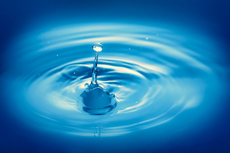 Ripple Insights